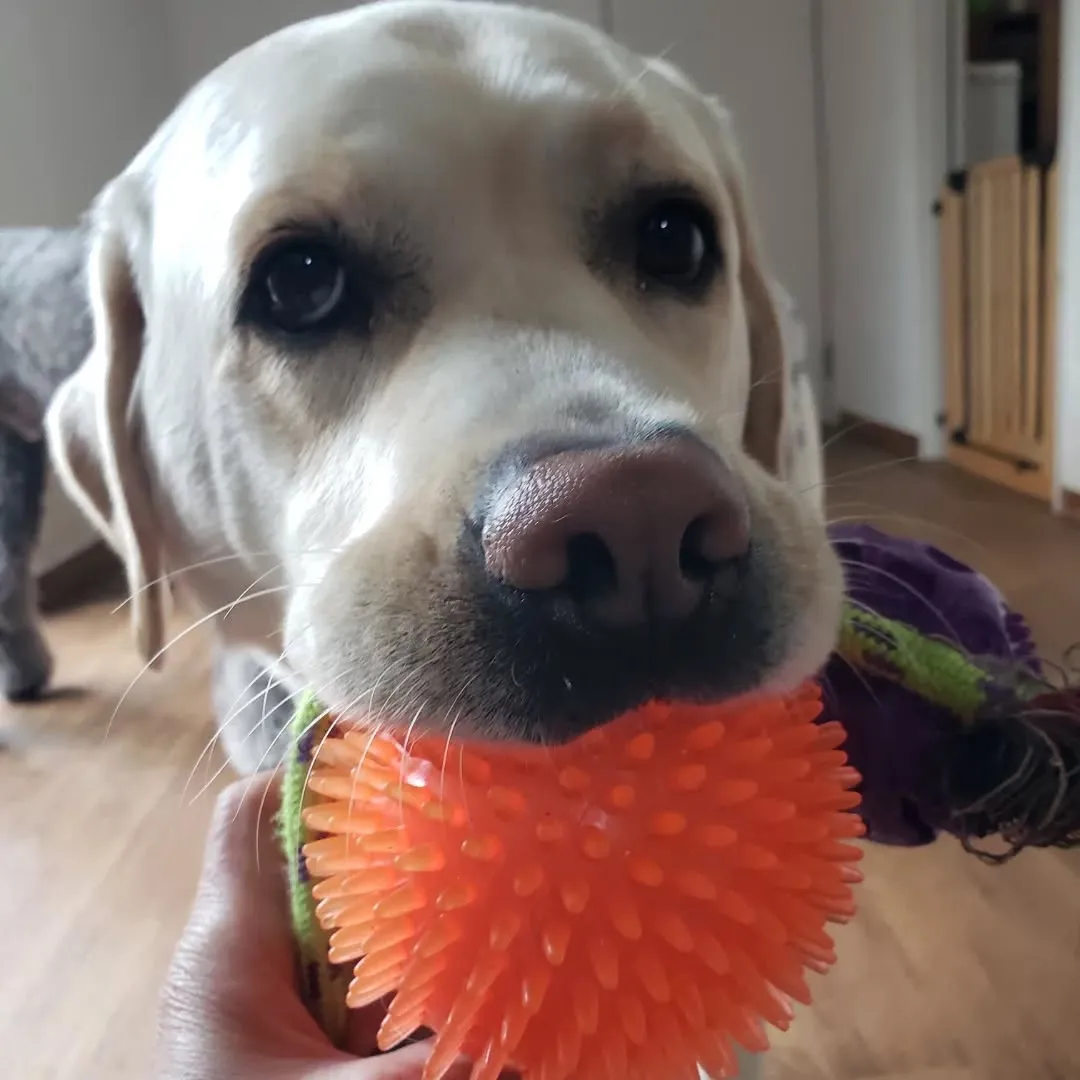 1日中雨☔☔☔💦
