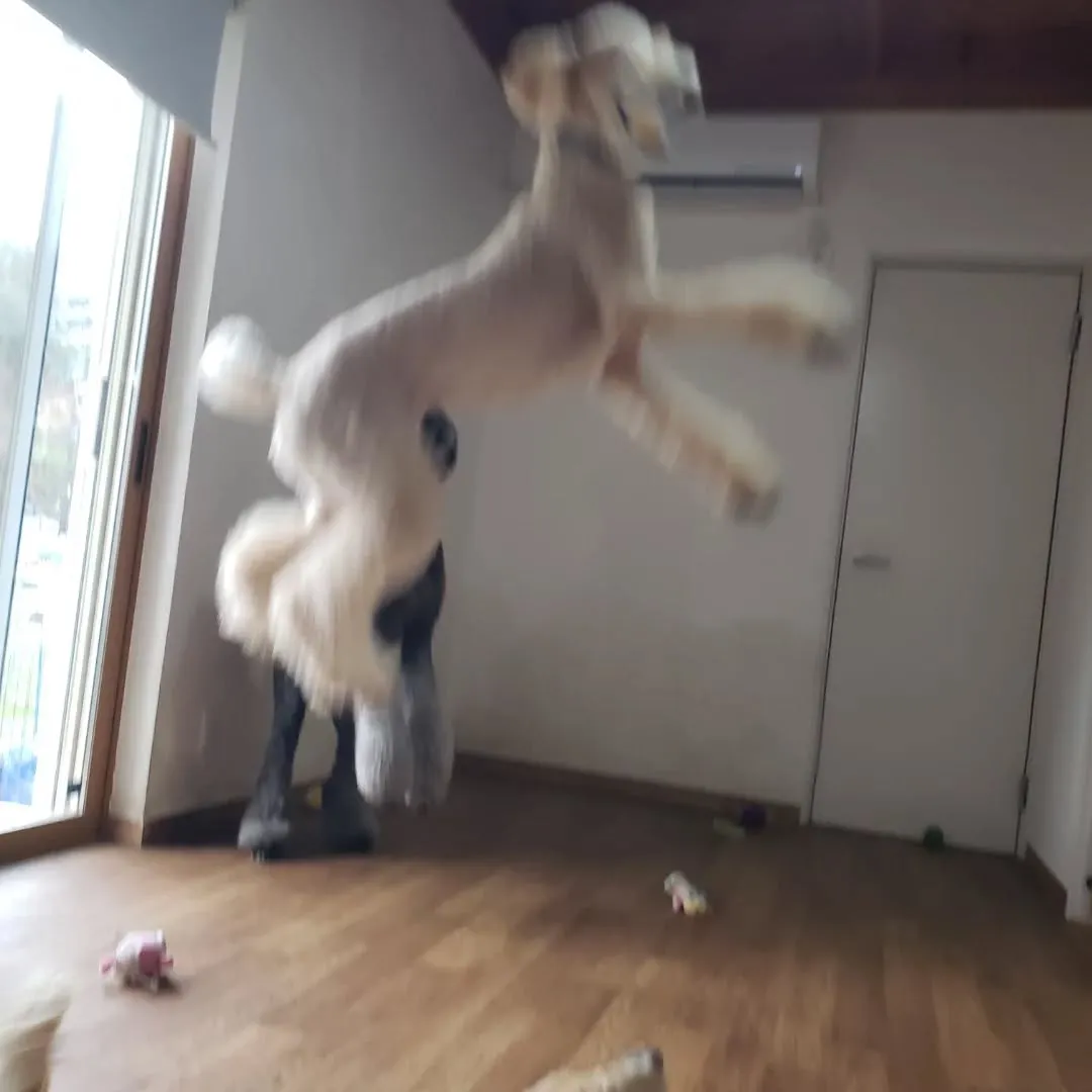 1日中雨☔☔☔💦