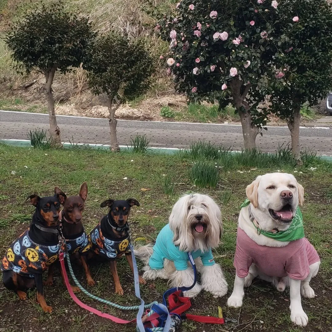 今日は晴れたのでたくさん遊べました😄