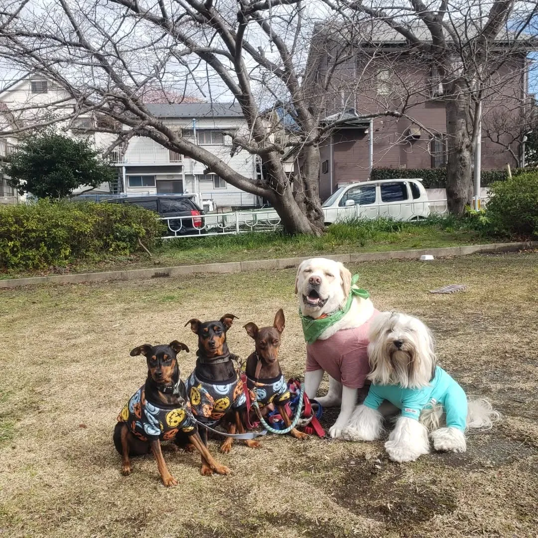 今日は晴れたのでたくさん遊べました😄