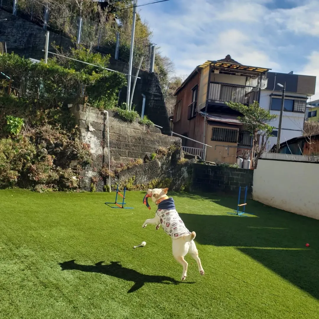 今日は晴れたのでたくさん遊べました😄