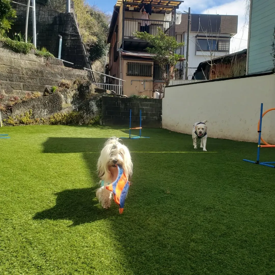 今日は晴れたのでたくさん遊べました😄