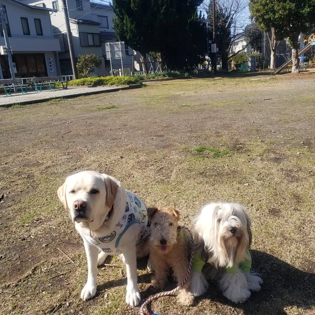 朝はお散歩へ🎵