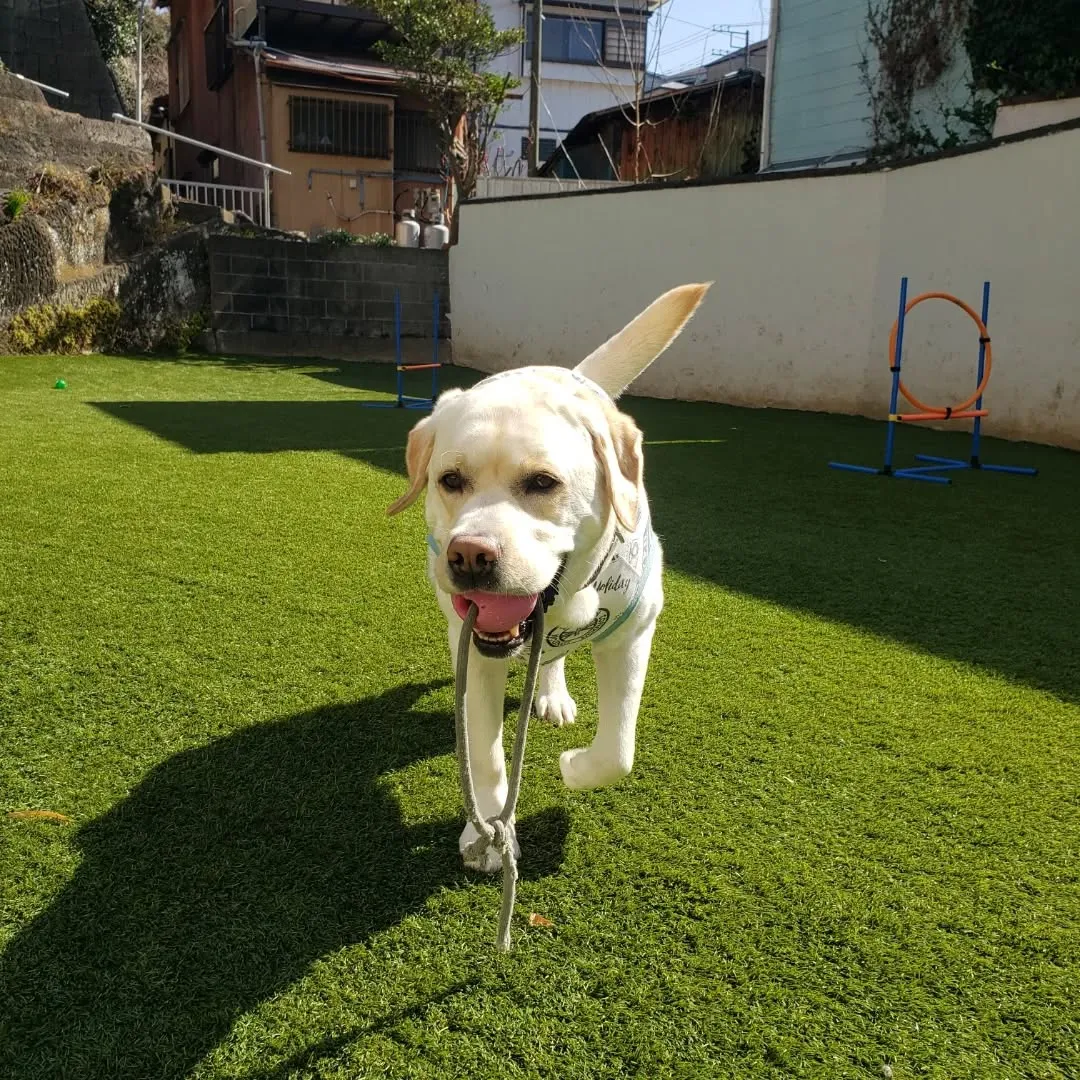 朝はお散歩へ🎵