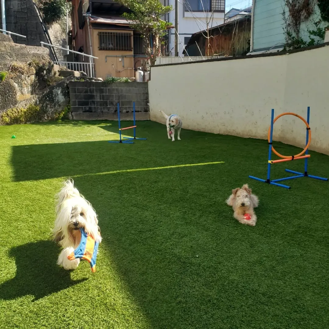 朝はお散歩へ🎵