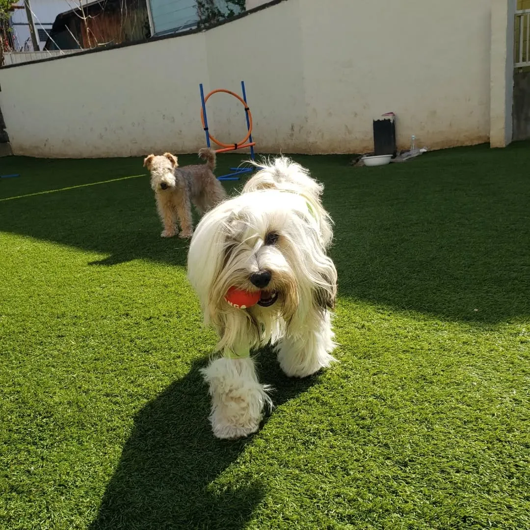 朝はお散歩へ🎵