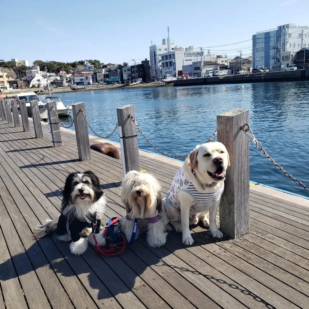 今日もあったかい1日になりました😊