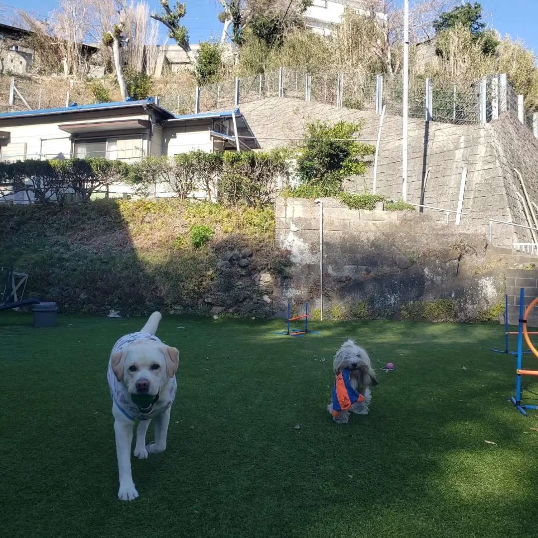 午後過ぎて三崎まで🎵