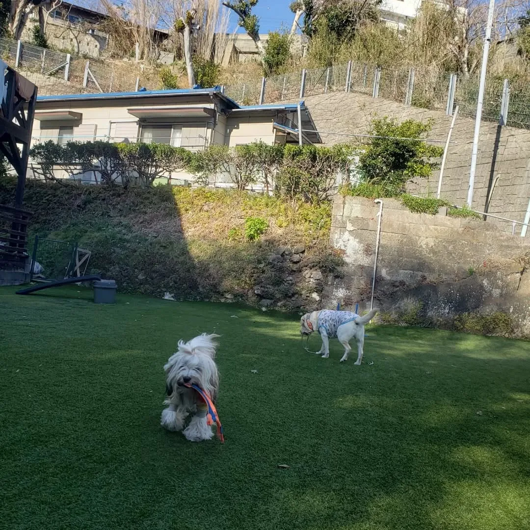 午後過ぎて三崎まで🎵