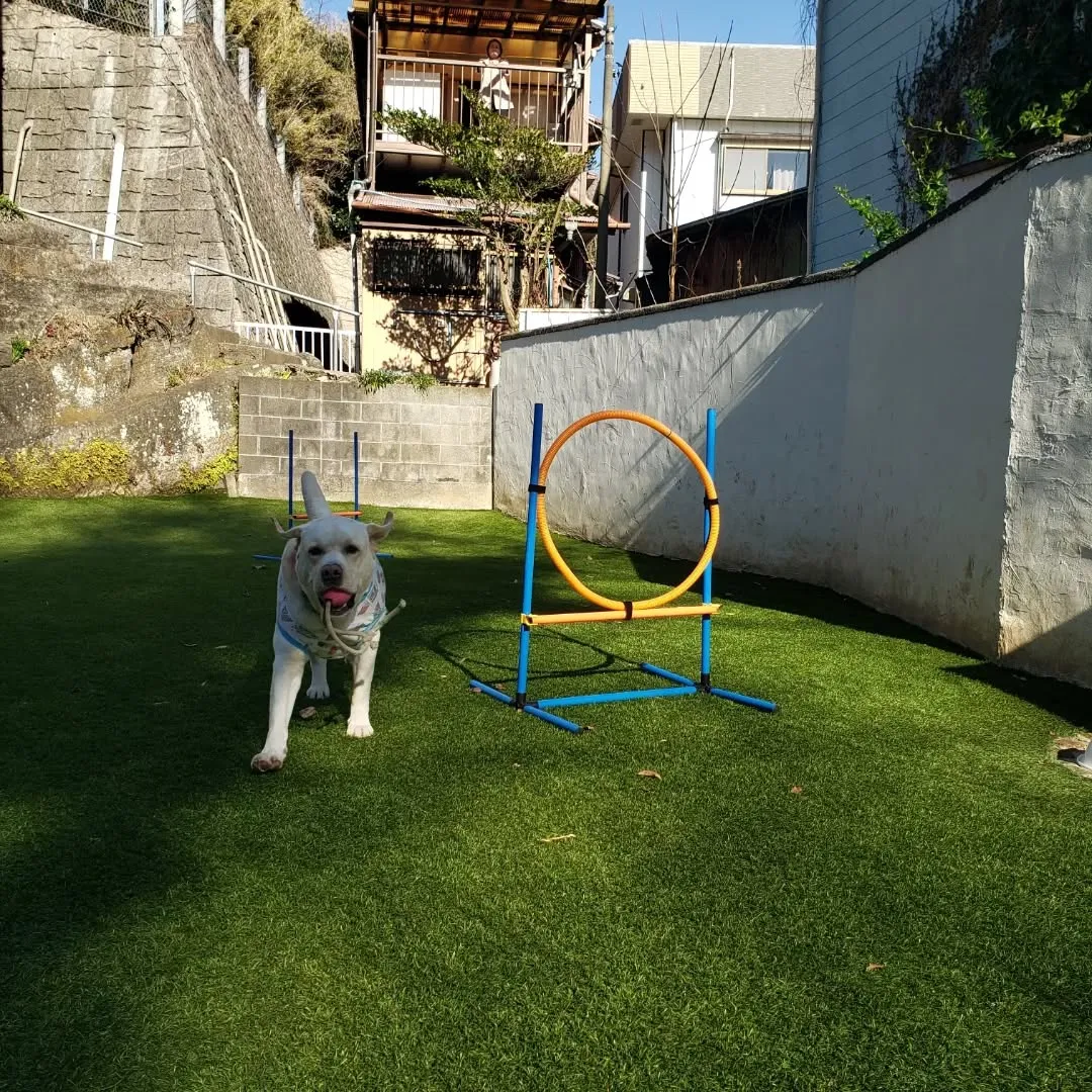 午後過ぎて三崎まで🎵