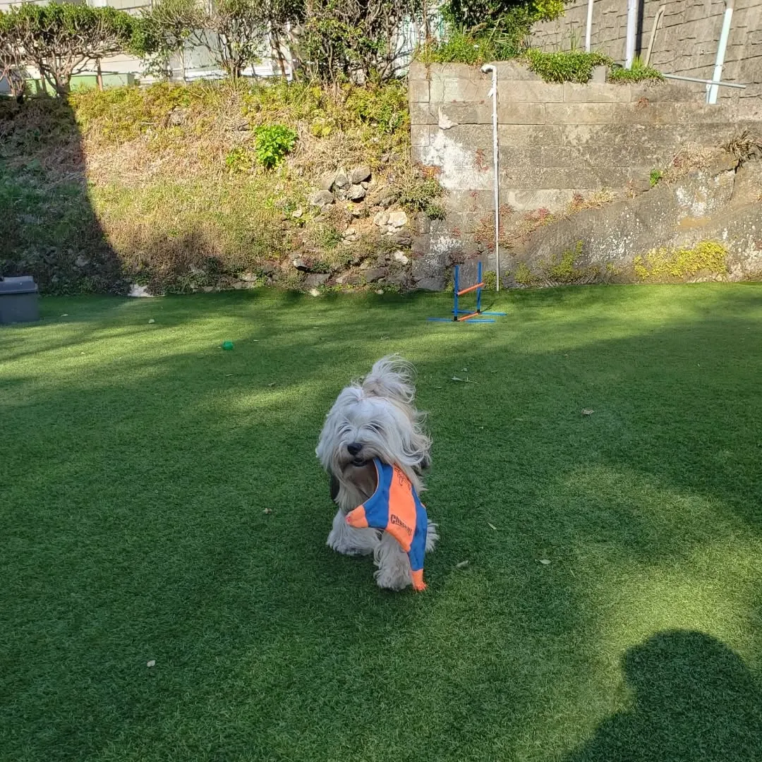 午後過ぎて三崎まで🎵