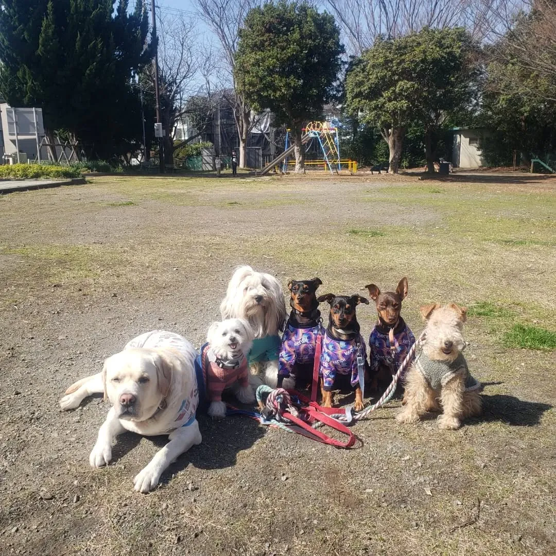 朝はみんなでお散歩へ🎵