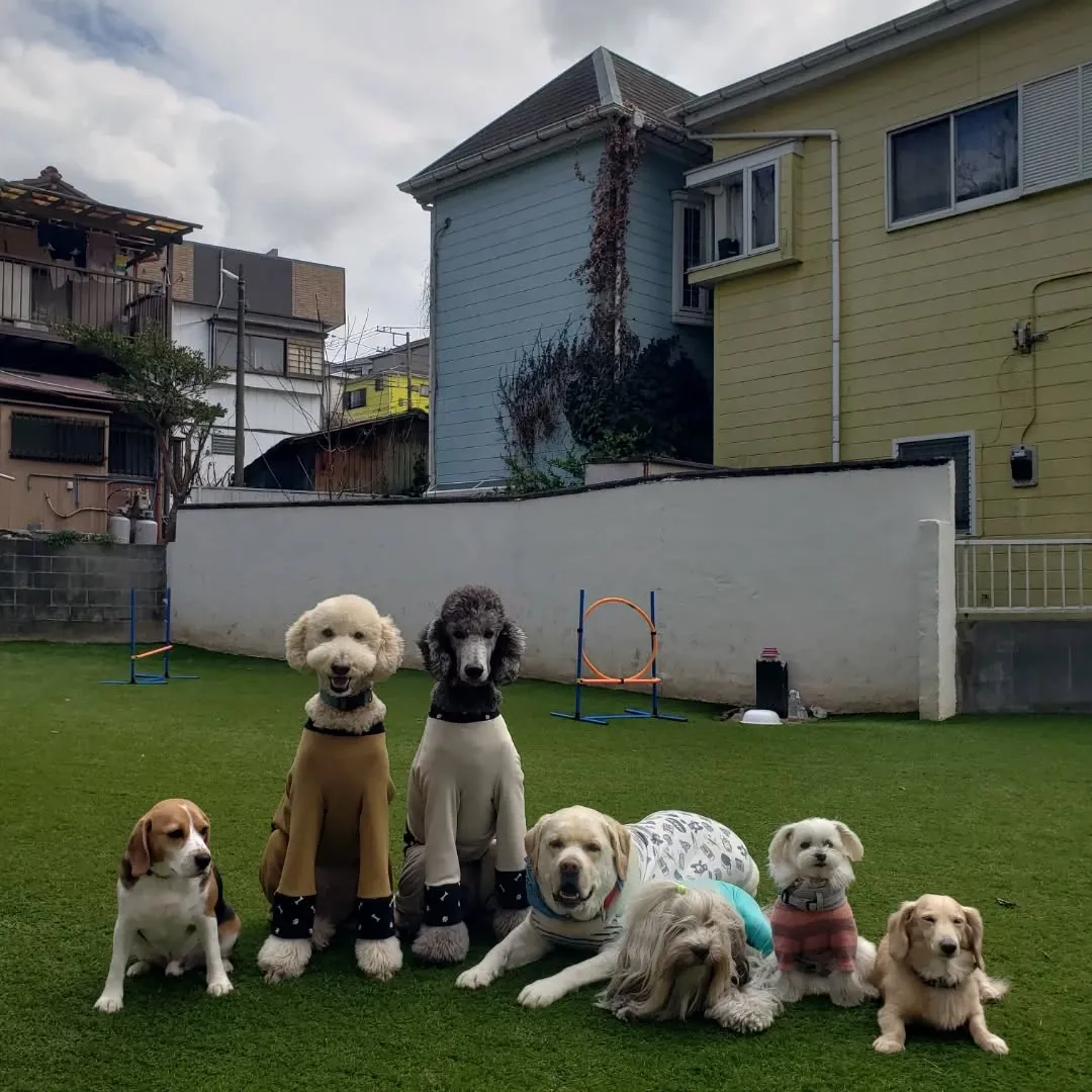 朝はみんなでお散歩へ行ってきました😊
