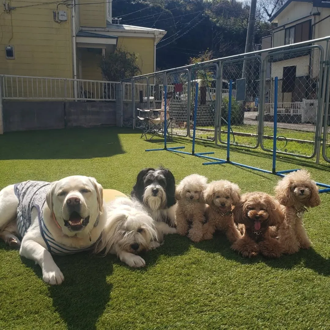 お天気がよいのでみんな元気です😊
