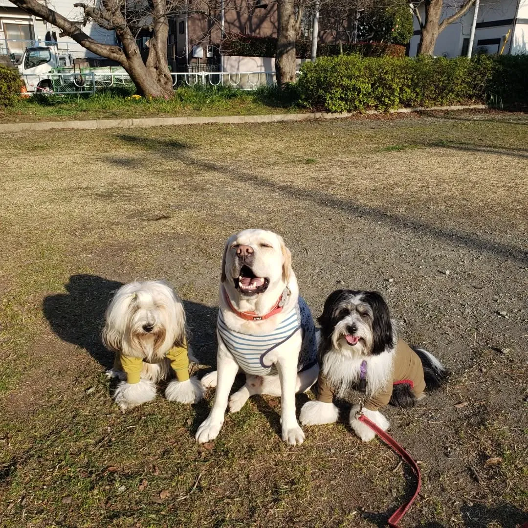 お天気がよいのでみんな元気です😊