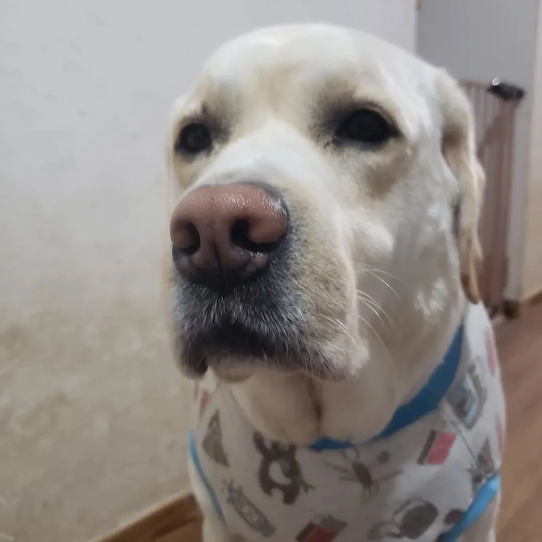 シャンプーdayのまーちゃん❤️