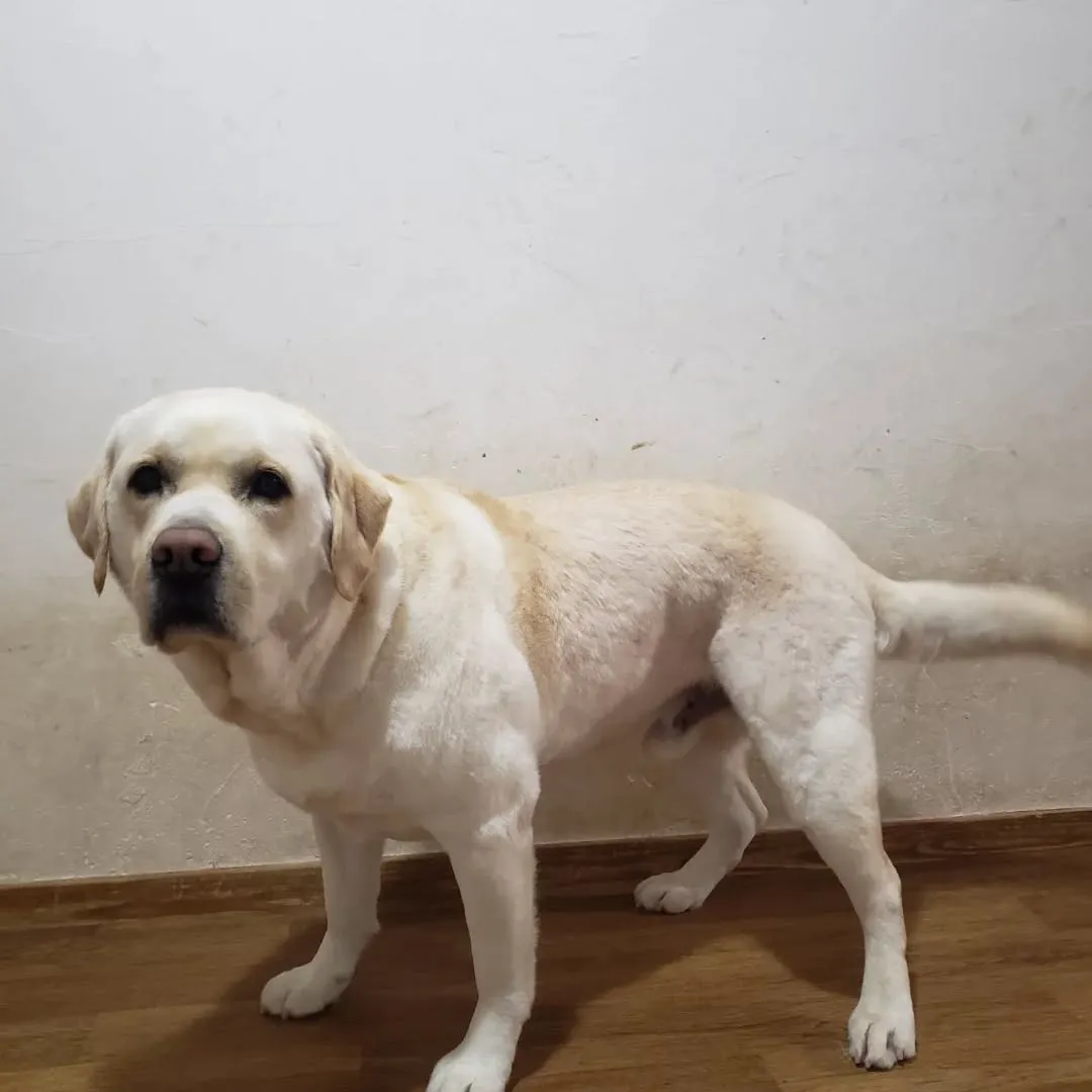 シャンプーdayのまーちゃん❤️