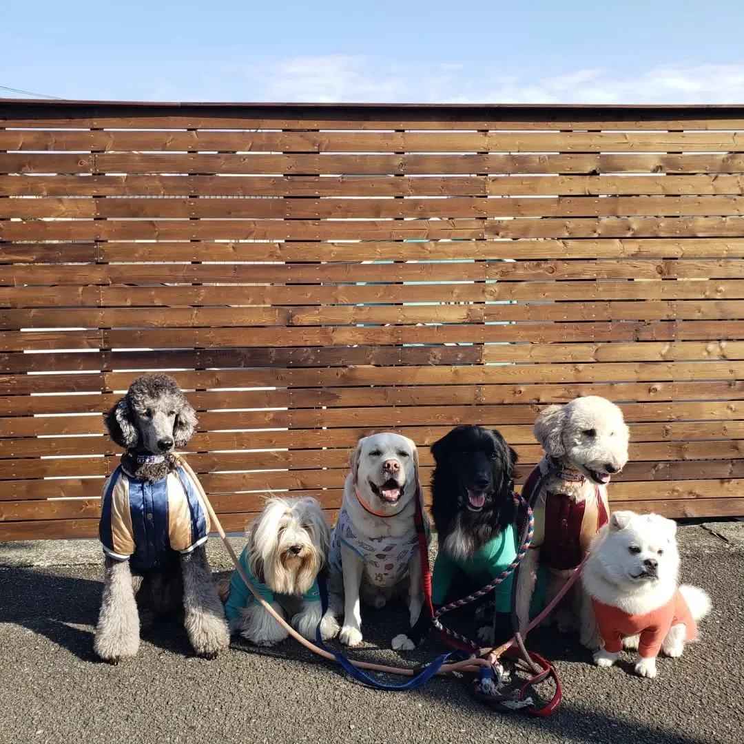 午前中は雨でお部屋遊びでしたが午後からはランでたっぷり遊ぶよ...