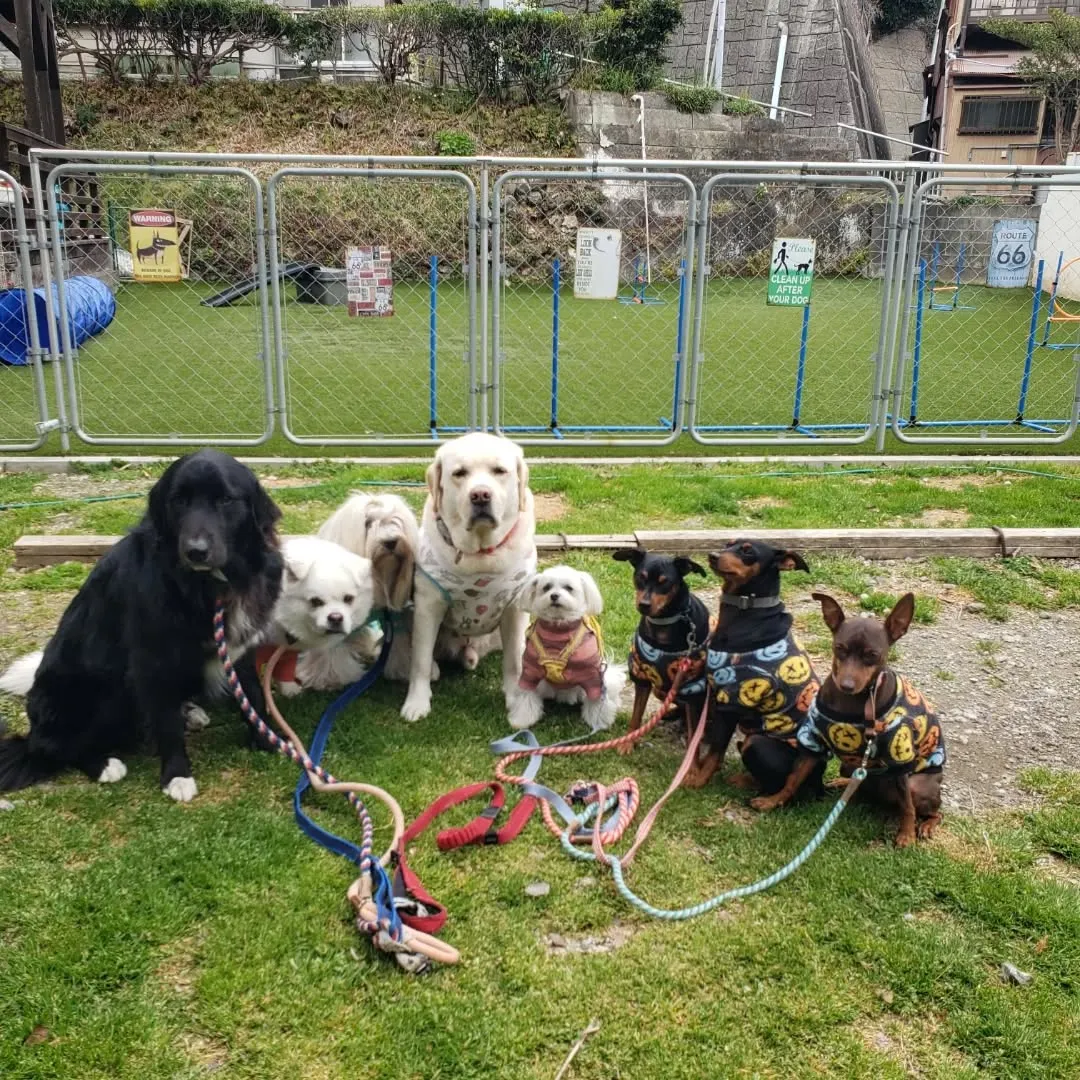 朝はみんなでお散歩へ🎵