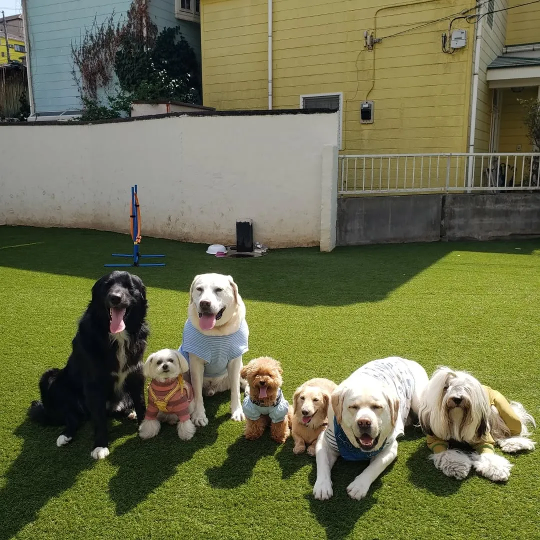 ランで遊ぶわんこさん♥️