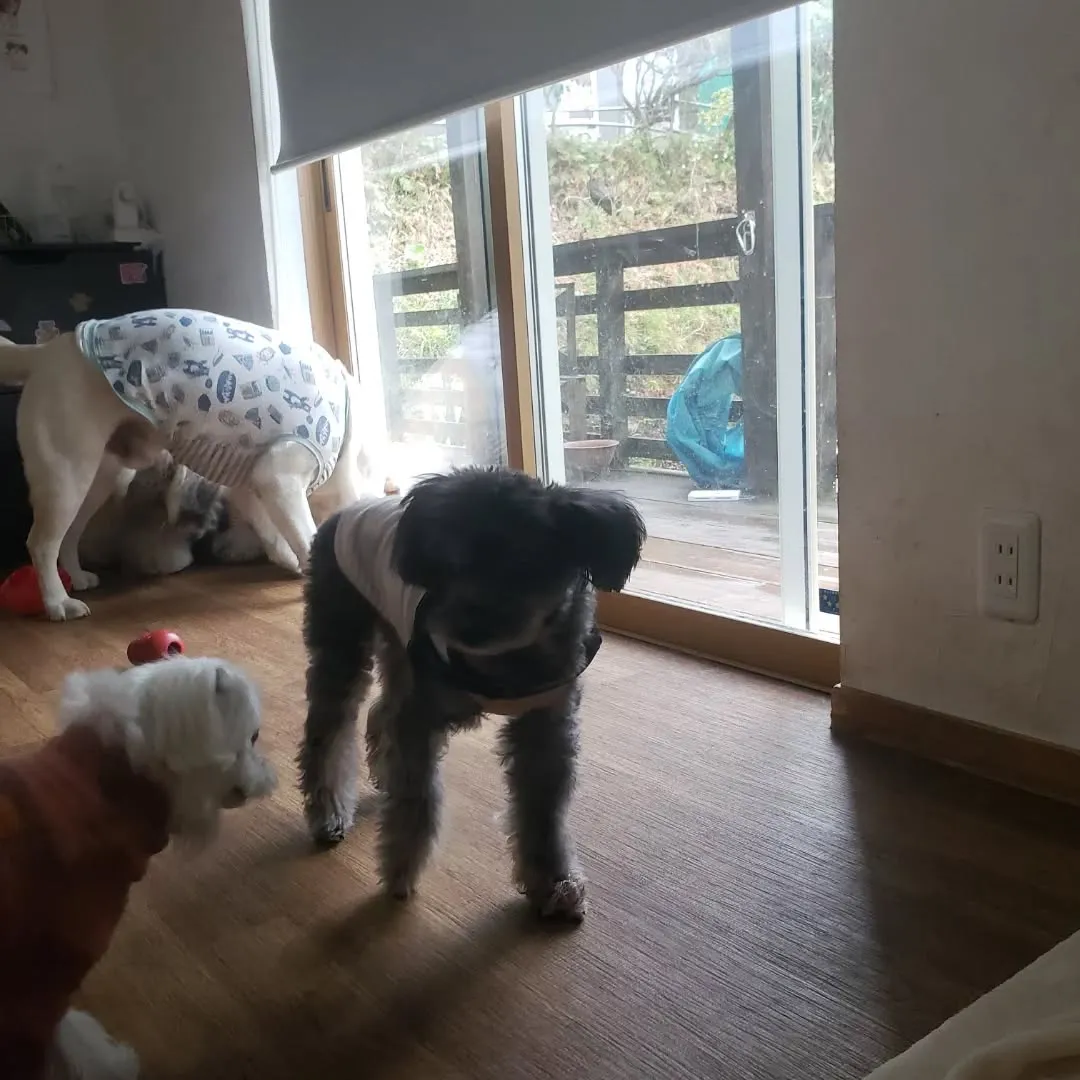 15歳のイックン♥️