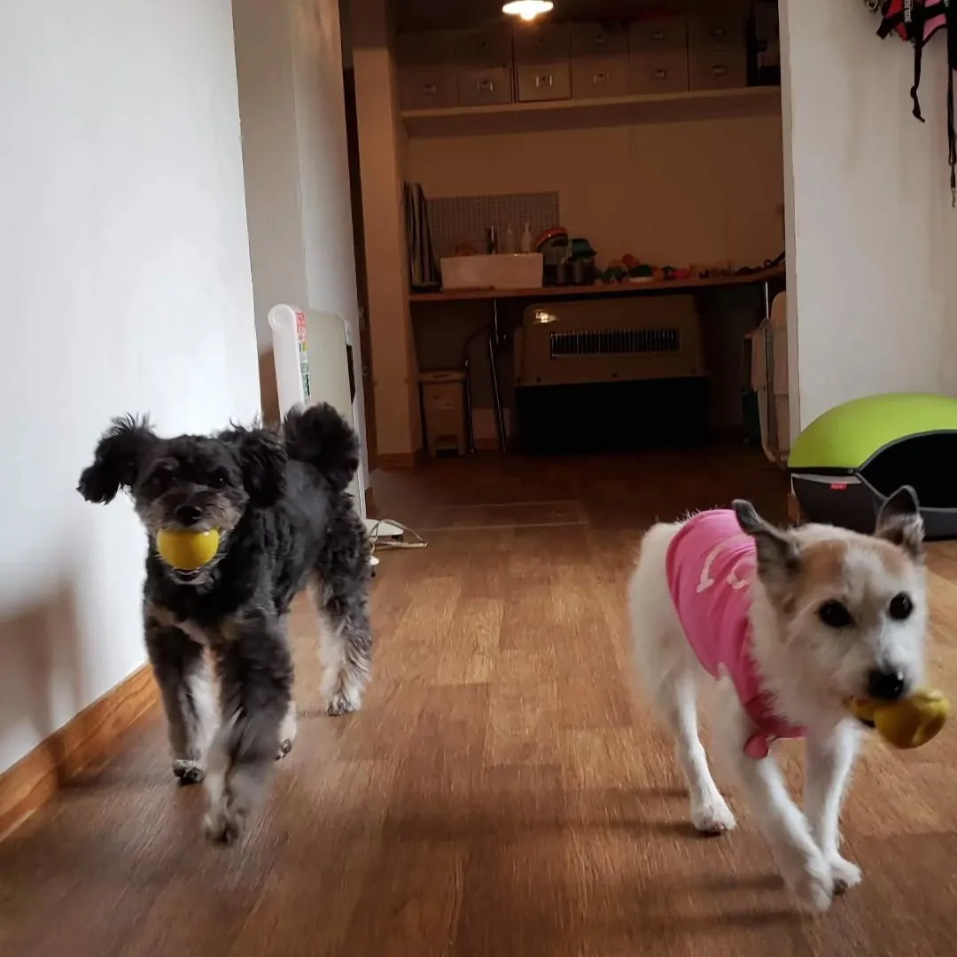 15歳のイックン♥️