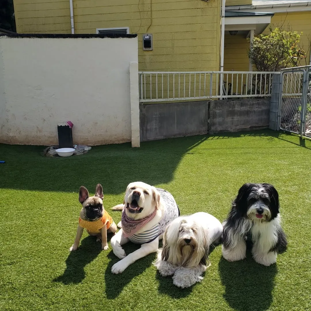 ハナちゃんのレッスンday💓