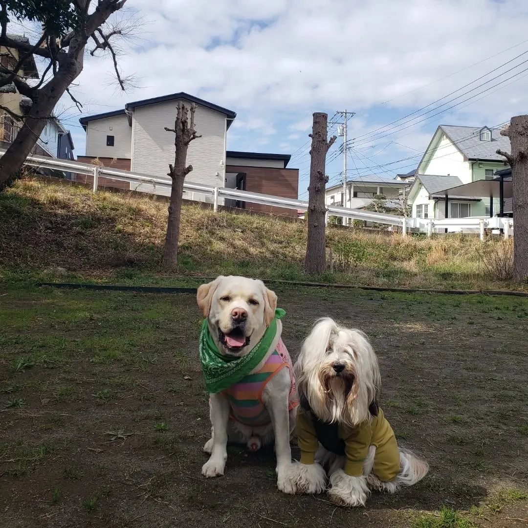 お天気良くなったので公園巡り♥️