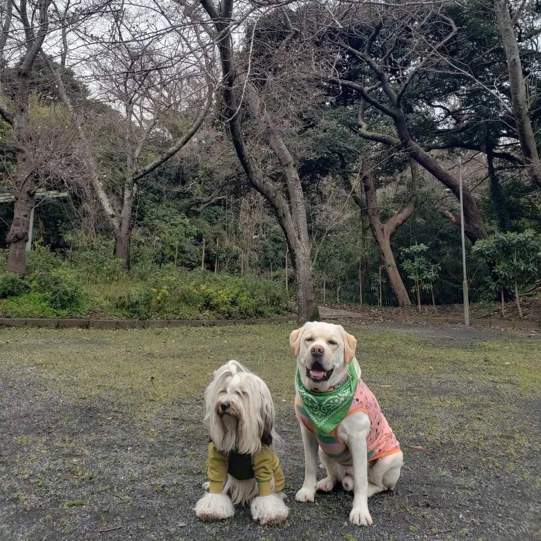 お天気良くなったので公園巡り♥️