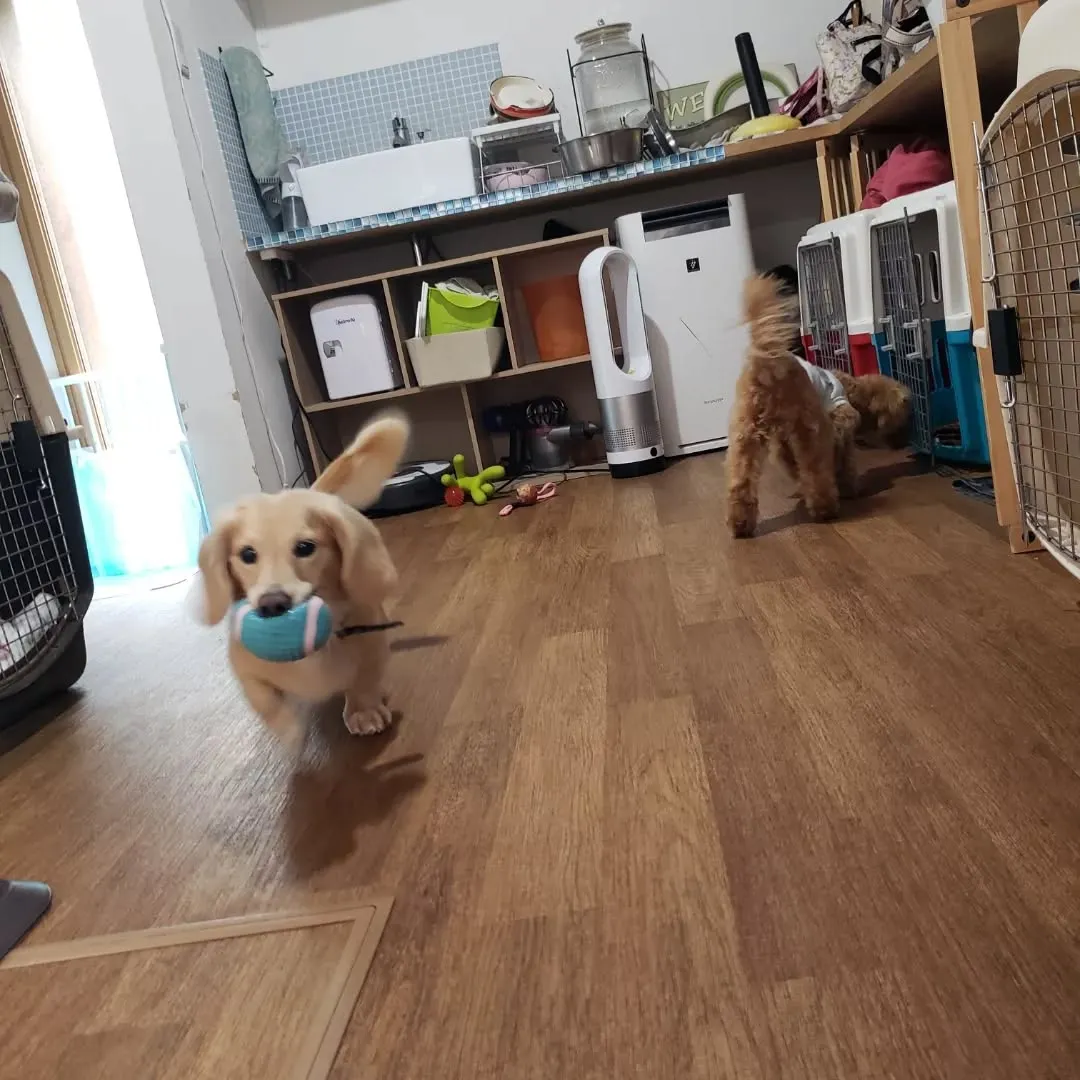 2日連続雨☔とはね～😓