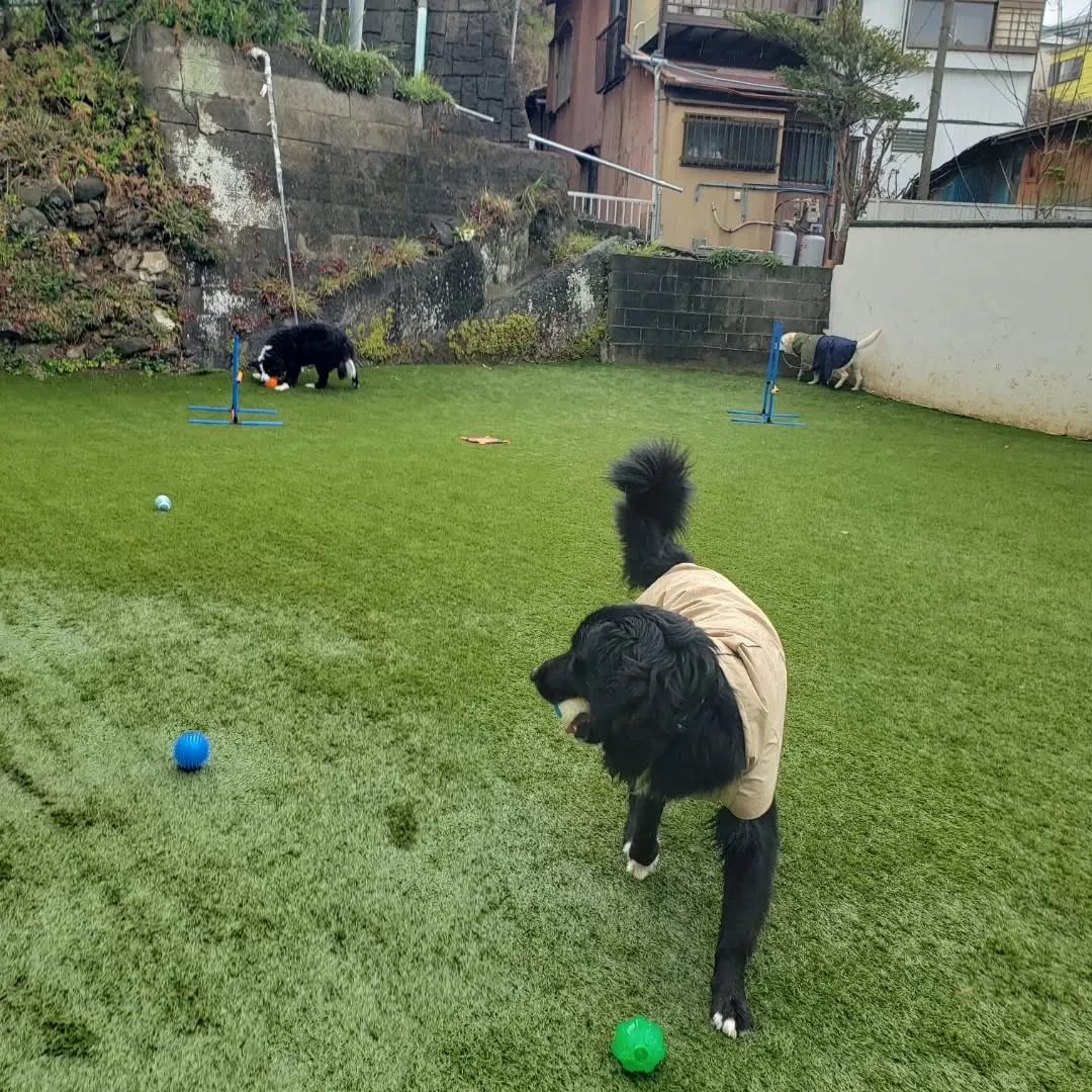 ずっと☔で少し小降りになって止んだので今のうちにわんぱく男子...