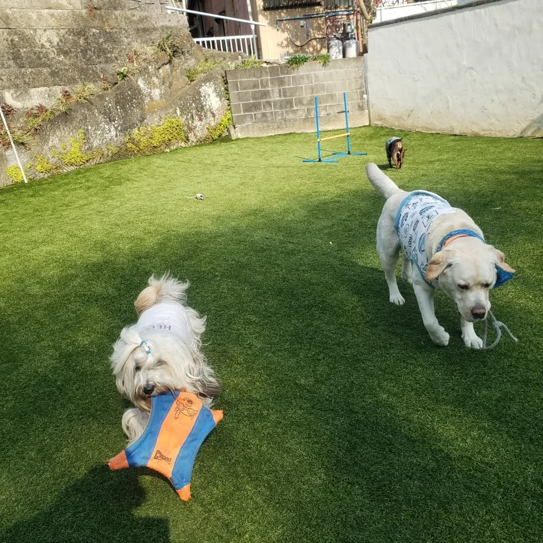 三崎までお散歩へ🎵