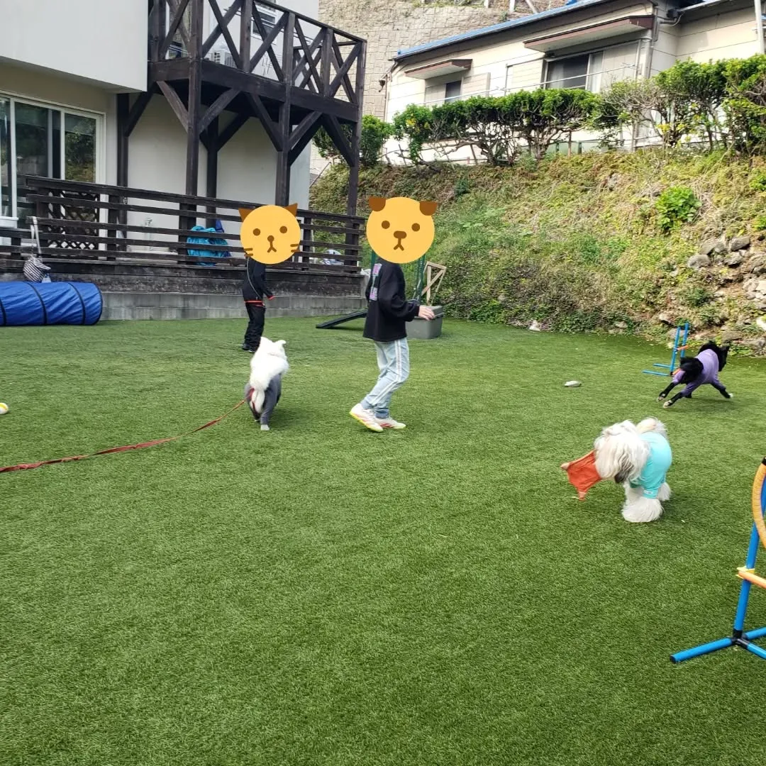 ランで遊んでいると可愛いですねっと声をかけてくれた子どもがい...