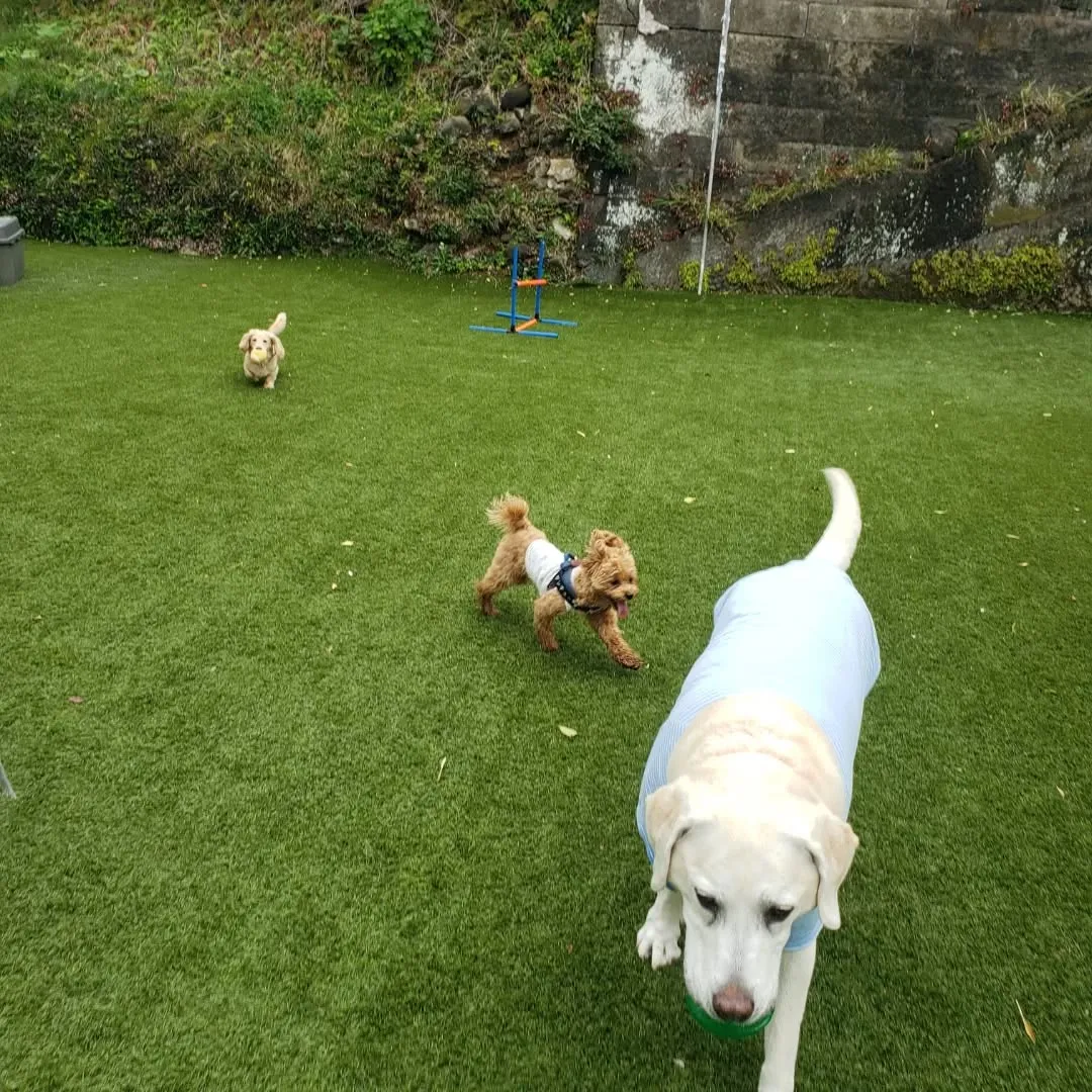 4月になりました😊