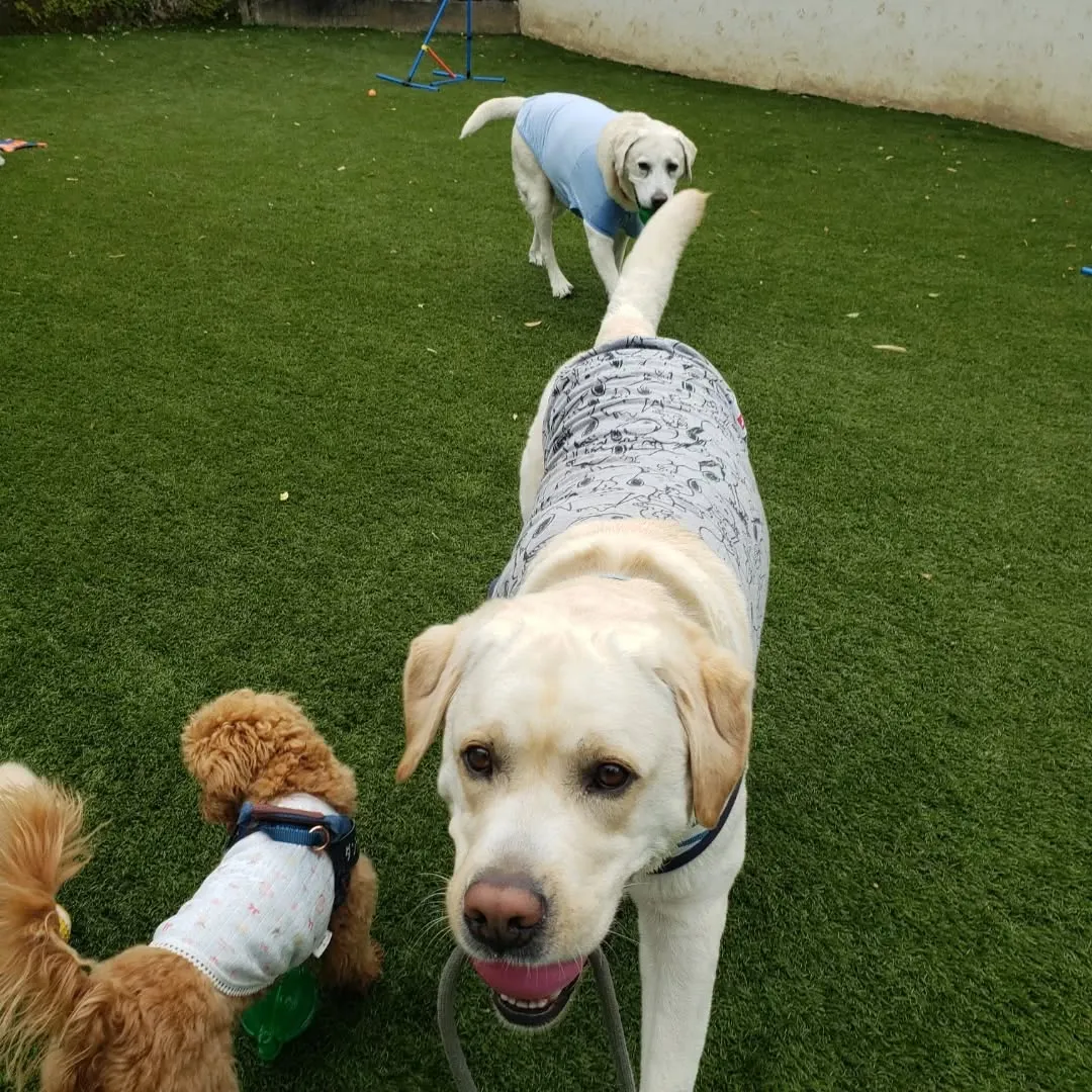 4月になりました😊