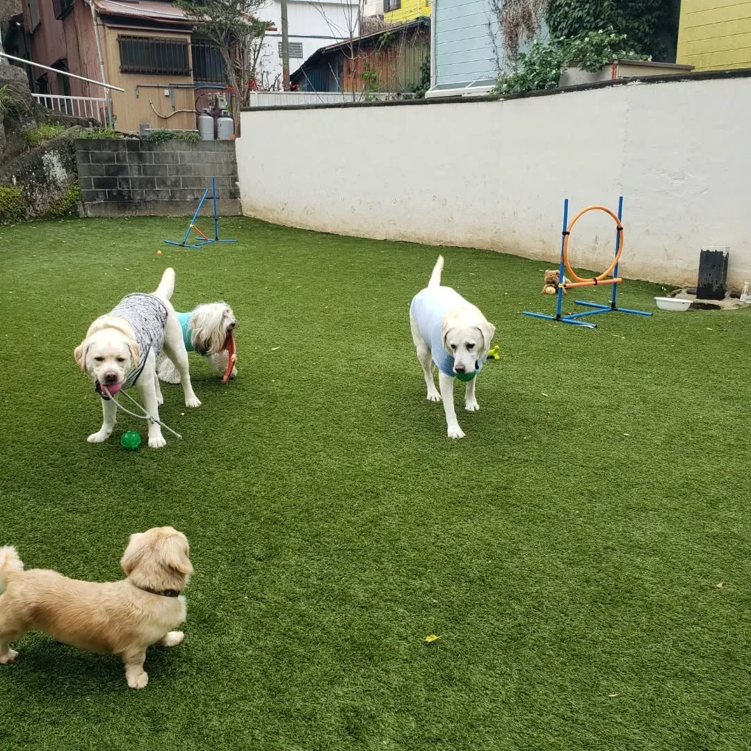 4月になりました😊