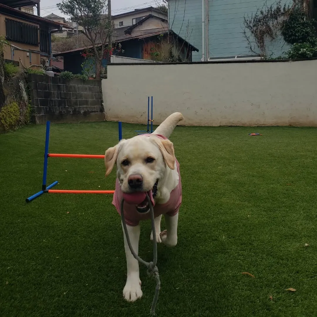 ランで遊んでいると子どもたちが遊びにきてくれました😊