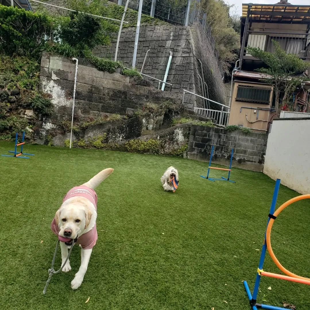 ランで遊んでいると子どもたちが遊びにきてくれました😊