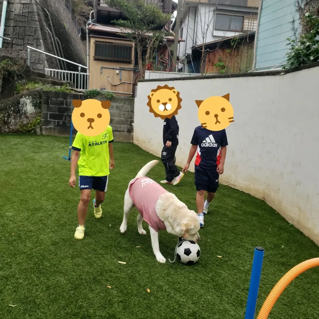 ランで遊んでいると子どもたちが遊びにきてくれました😊