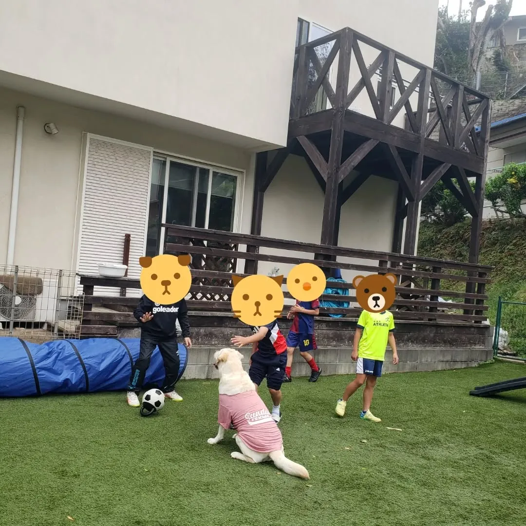 ランで遊んでいると子どもたちが遊びにきてくれました😊