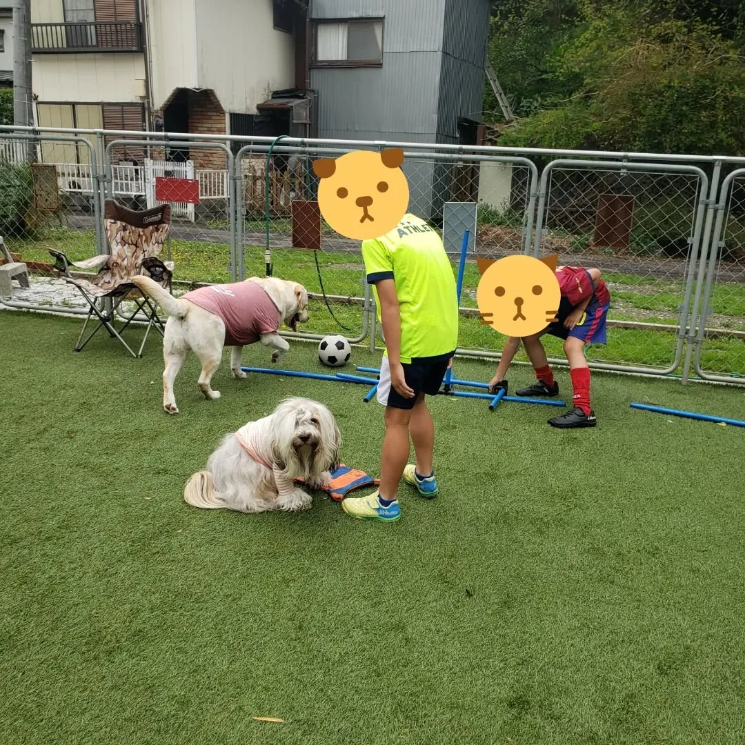 ランで遊んでいると子どもたちが遊びにきてくれました😊