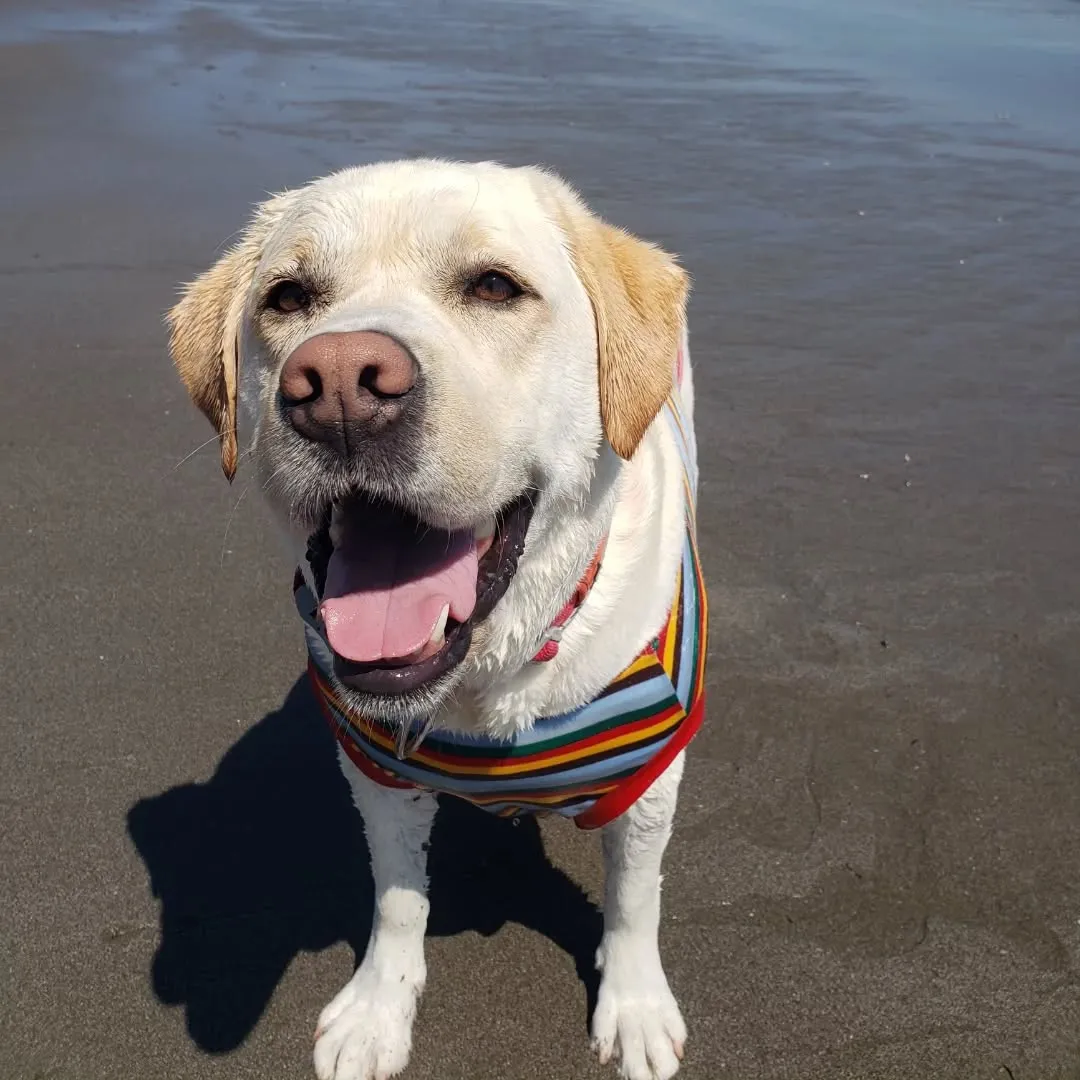休憩時間に抜け出してまーちゃんと海岸へ🎵