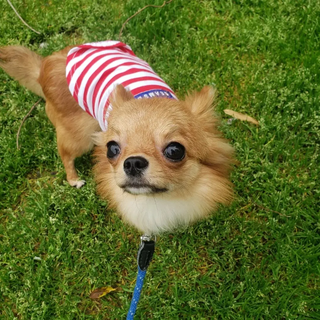 2泊のホームステイだったララちゃん♥️