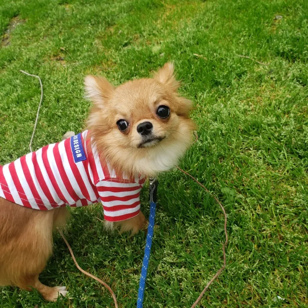 2泊のホームステイだったララちゃん♥️