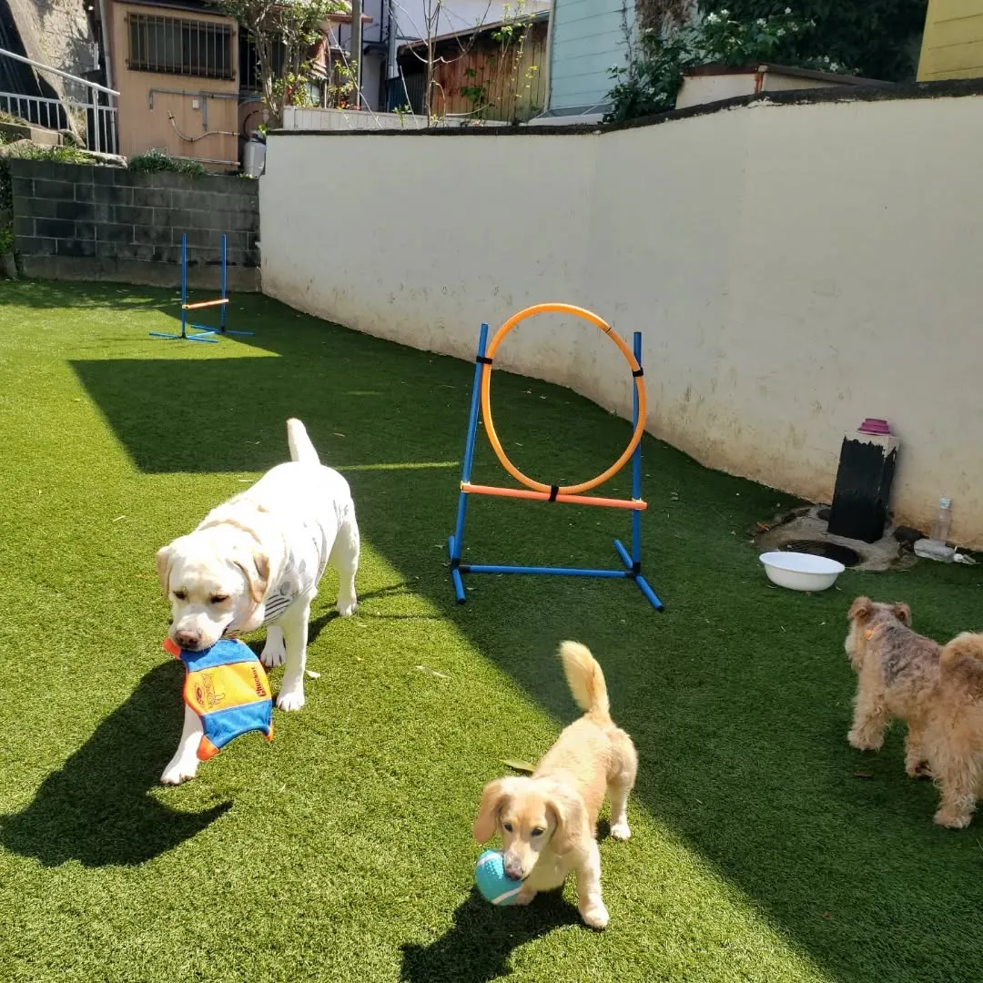 めちゃくちゃよいお天気になりました😊