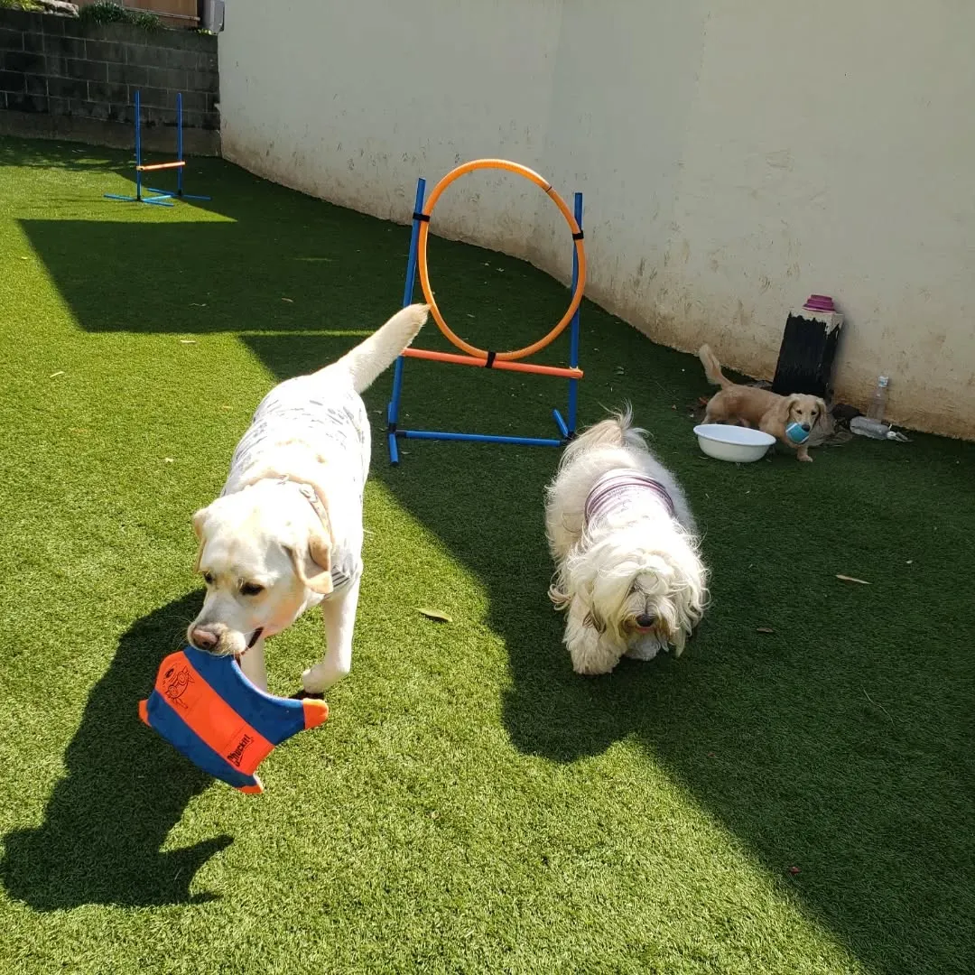 めちゃくちゃよいお天気になりました😊