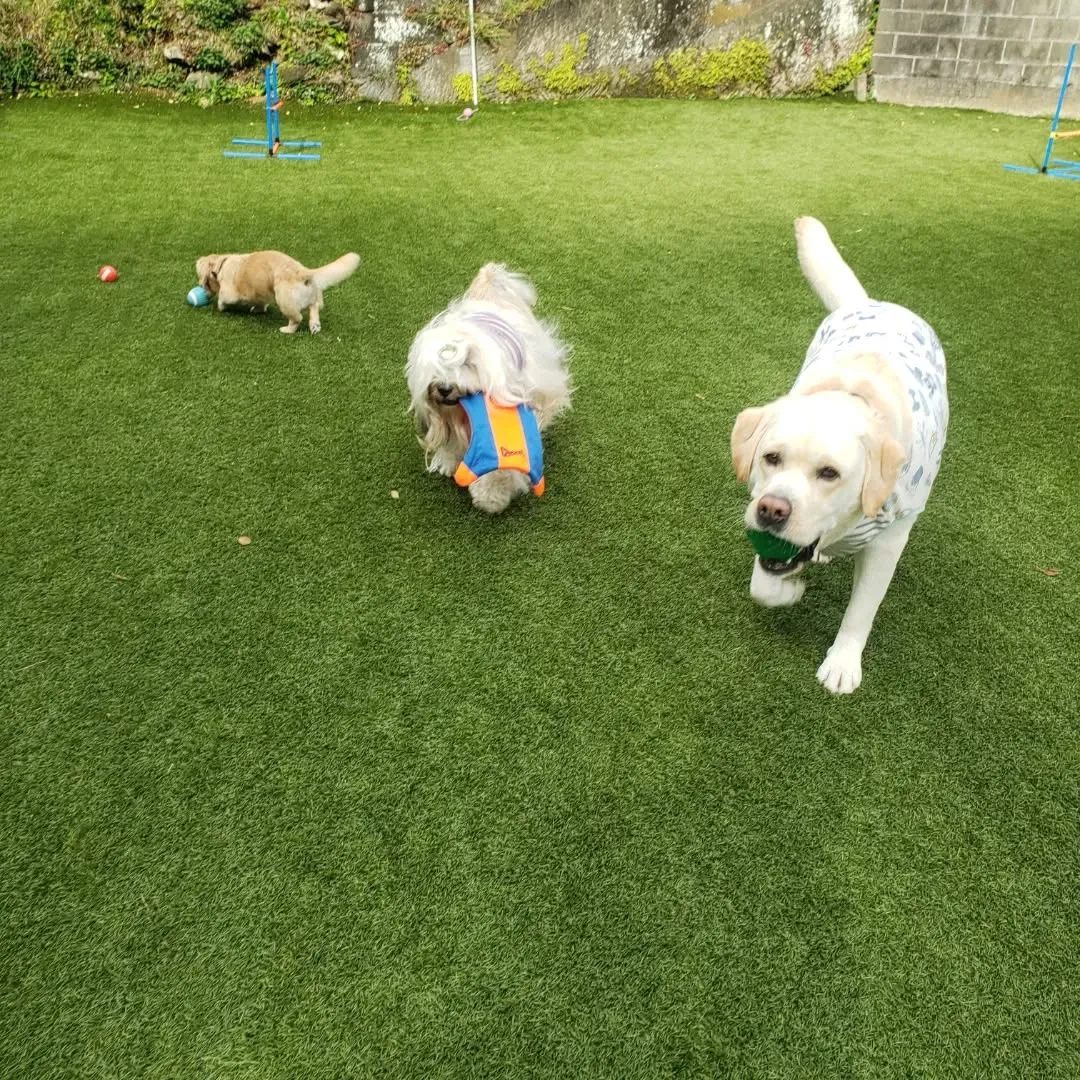 めちゃくちゃよいお天気になりました😊
