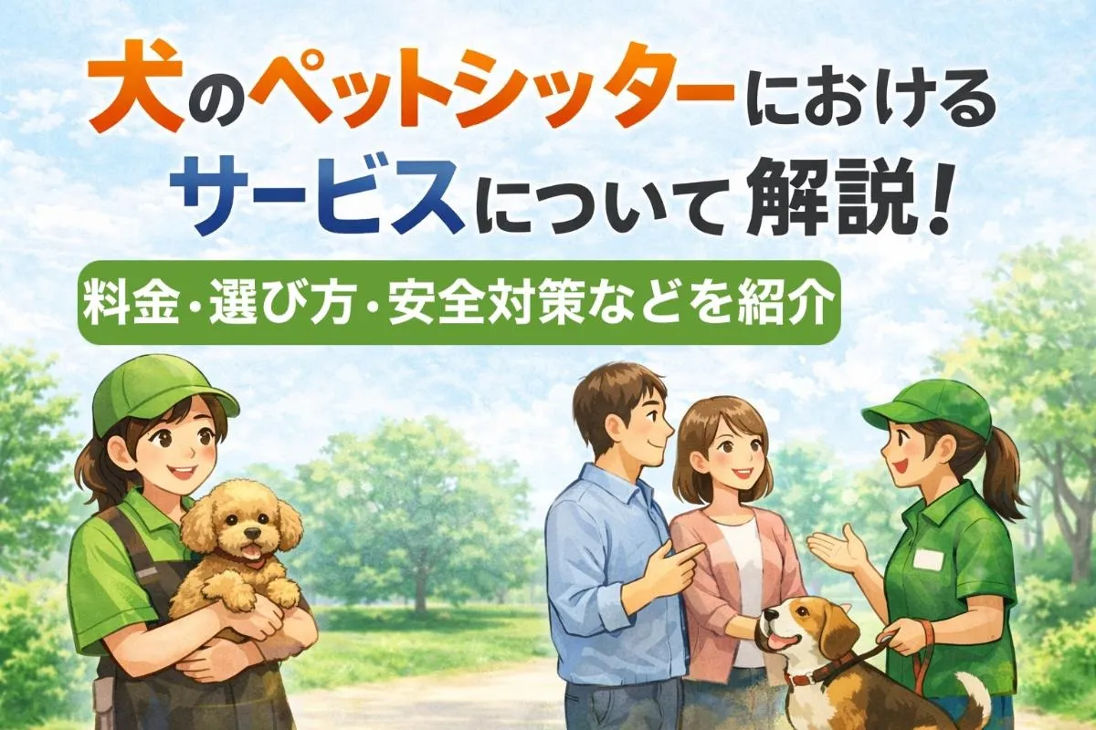 犬のペットシッターにおけるサービスについて解説！料金・選び方・安全対策などを紹介