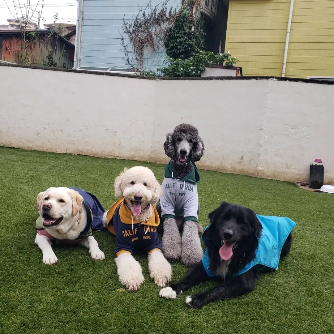 雨が降ってるか降ってないかくらいの小雨になったので今のうちに...