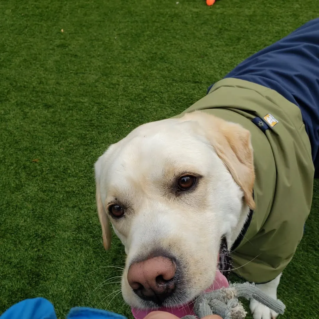 雨が降ってるか降ってないかくらいの小雨になったので今のうちに...